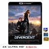 (4K UHD 25G)  分歧者 Divergent (2014) 4KUHD