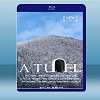 絕命大平台 The Platform (2019) 藍光影片25G