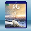 風暴之子 Stormborn (2020) 藍光25G