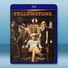 黃石 第1季 Yellowstone Season 1(2018)2碟 藍光25G