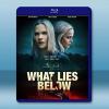 謊言之底 What Lies Below (2020)藍光25G