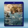 颱風逃跑計劃/天晴有時 Whether the Weather Is Fine(2021)藍光25G
