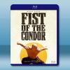 禿鷹之拳 The Fist of the Condor(2023)藍光25G