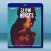 外放特務組/流人 第四季 Slow Horses S4(2024)藍光25G 2碟L