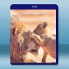 寶貝星球 Parenthood (2025)藍光25G 2碟L