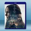 未葬之罪 What We Hide (2025)藍光25G